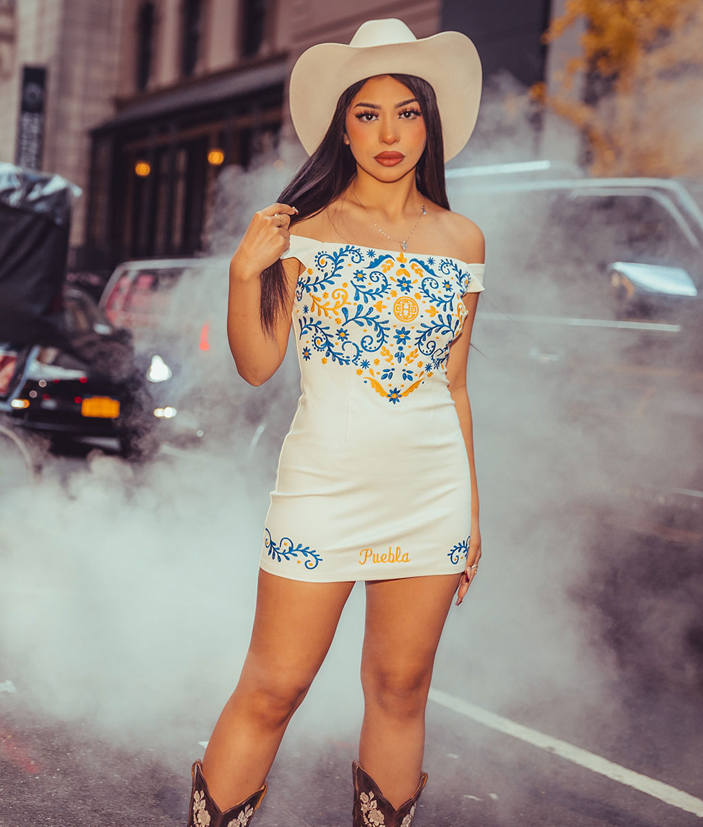 Isabel Embroidered Dress- Holiday Edition