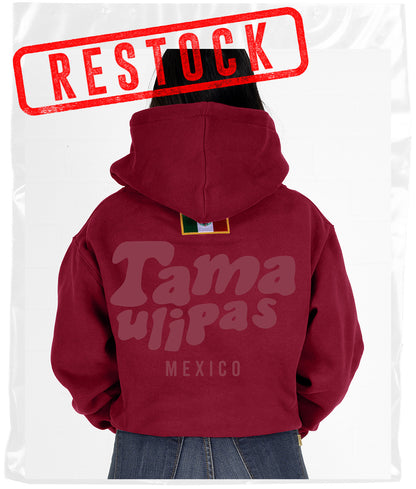MAROON PUFF STATE HOODIE
