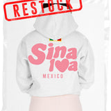HEATHER GREY PUFF STATE HOODIE