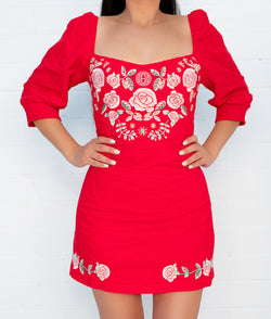 Cariñosa Embroidered Dress