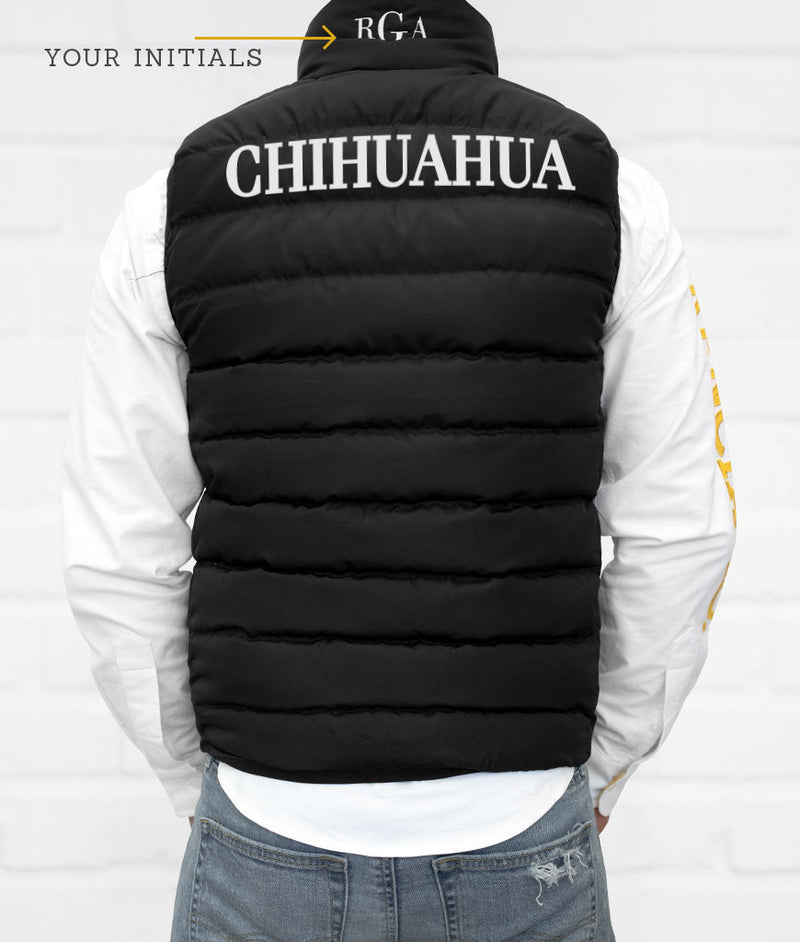 State Men's Down Vest